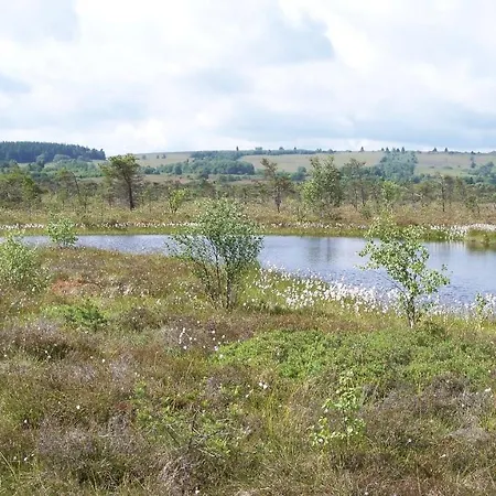 Апартаменты Am Himmel Birx