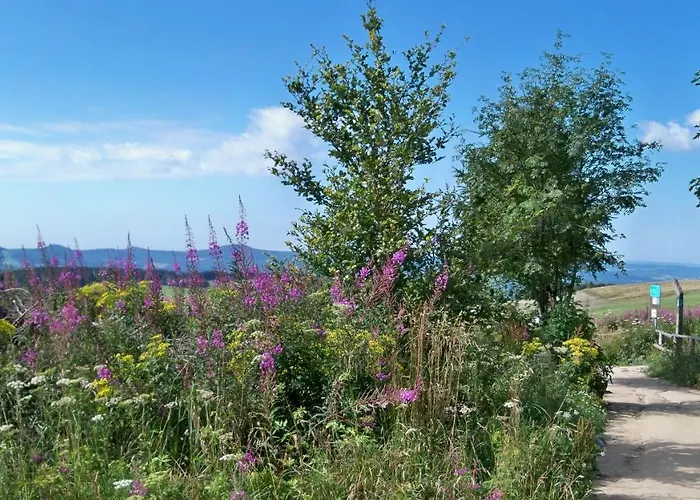 Appartement Am Himmel *