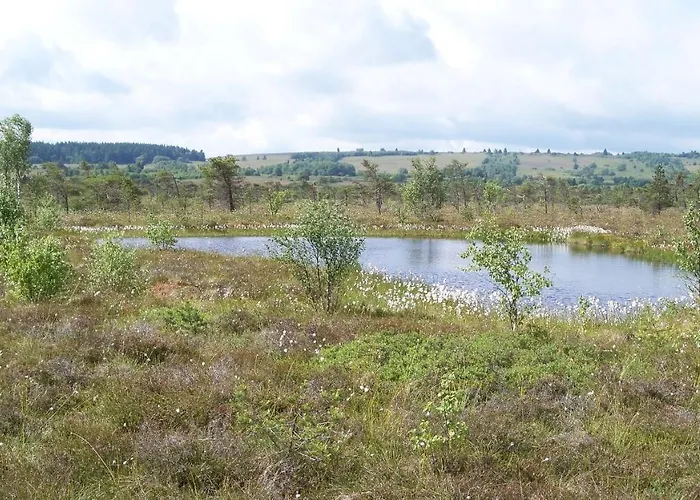 Appartement Am Himmel Birx